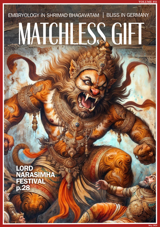 Matchless Gift 11 (Digital)